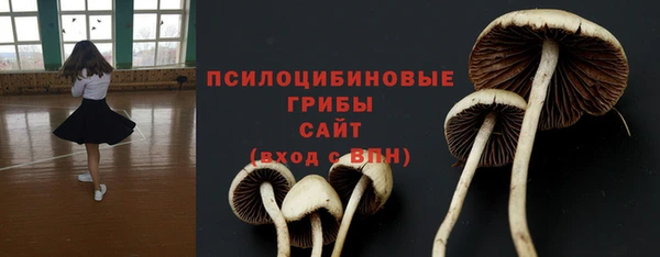 PSILOCYBIN Верхний Тагил